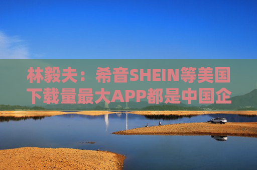 林毅夫：希音SHEIN等美国下载量最大APP都是中国企业所拥有的  第1张