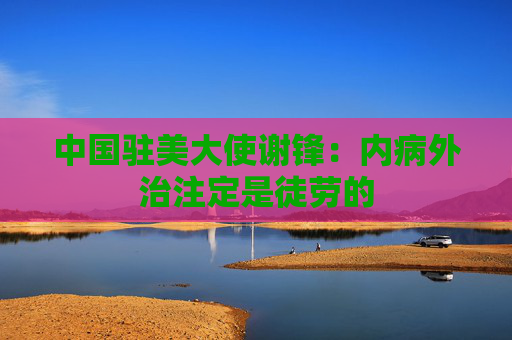 中国驻美大使谢锋：内病外治注定是徒劳的