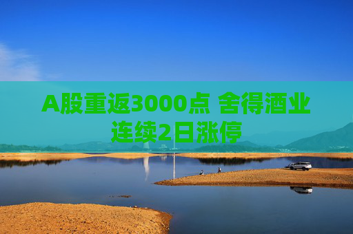 A股重返3000点 舍得酒业连续2日涨停