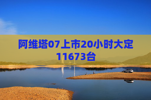 阿维塔07上市20小时大定11673台  第1张