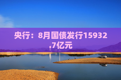 央行：8月国债发行15932.7亿元