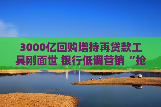 3000亿回购增持再贷款工具刚面世 银行低调营销“抢占先机” 静待具体操作细则出台  第1张