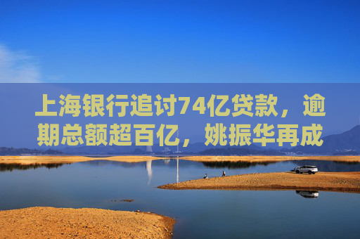 上海银行追讨74亿贷款，逾期总额超百亿，姚振华再成被告  第1张