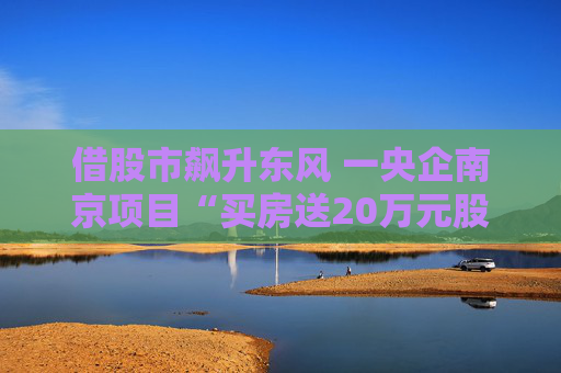 借股市飙升东风 一央企南京项目“买房送20万元股票”事件引热议  第1张