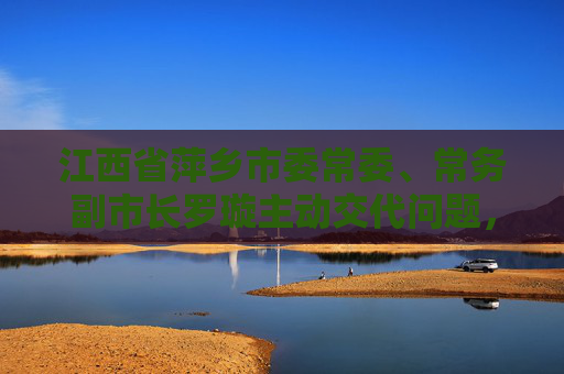 江西省萍乡市委常委、常务副市长罗璇主动交代问题，正接受审查调查  第1张