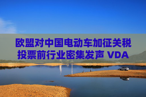 欧盟对中国电动车加征关税投票前行业密集发声 VDA：贸易保护主义将扭曲市场发展