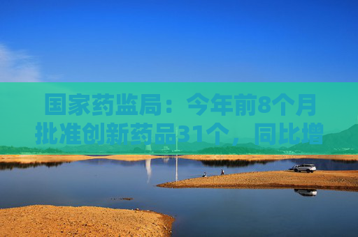 国家药监局：今年前8个月批准创新药品31个，同比增19.23%