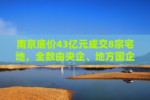 南京底价43亿元成交8宗宅地，全数由央企、地方国企收入囊中