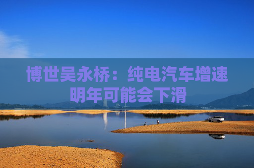 博世吴永桥：纯电汽车增速明年可能会下滑  第1张