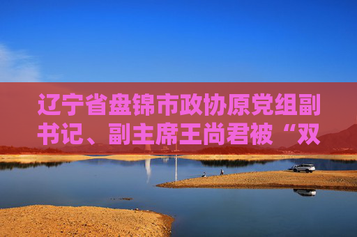 辽宁省盘锦市政协原党组副书记、副主席王尚君被“双开”  第1张