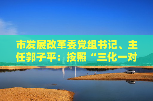 市发展改革委党组书记、主任郭子平：按照“三化一对照”思路 更加注重产业生态建设 全方位深层次打造高水平营商环境  第1张