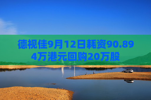 德视佳9月12日耗资90.894万港元回购20万股  第1张