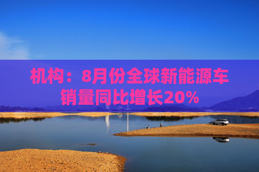 机构：8月份全球新能源车销量同比增长20%