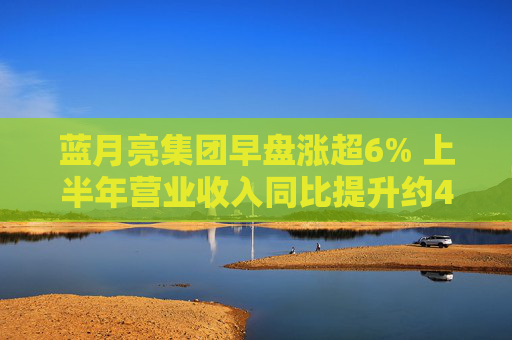 蓝月亮集团早盘涨超6% 上半年营业收入同比提升约40.9%  第1张