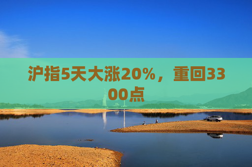 沪指5天大涨20%，重回3300点