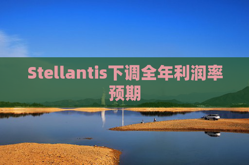 Stellantis下调全年利润率预期  第1张