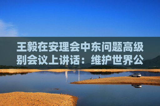 王毅在安理会中东问题高级别会议上讲话：维护世界公平正义，促进中东和平安宁  第1张