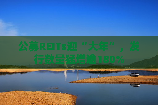 公募REITs迎“大年”，发行数量猛增逾180%