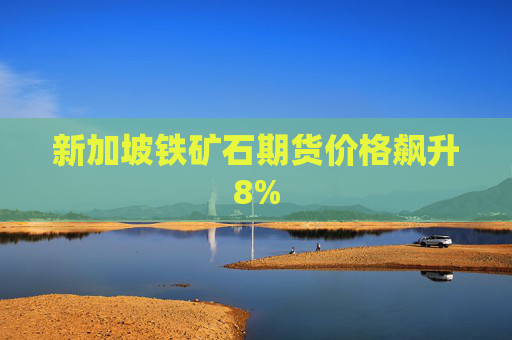 新加坡铁矿石期货价格飙升8%