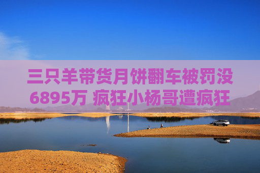 三只羊带货月饼翻车被罚没6895万 疯狂小杨哥遭疯狂反噬商业神话破灭