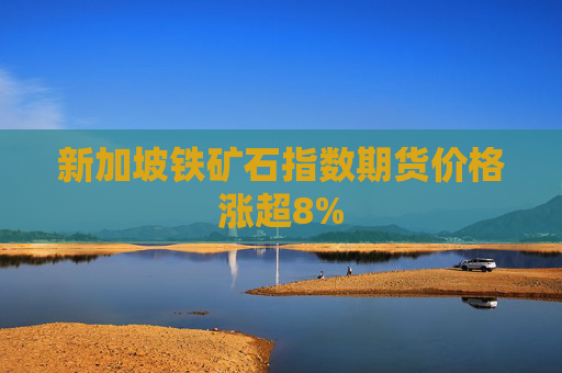 新加坡铁矿石指数期货价格涨超8%  第1张