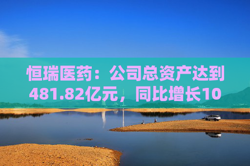 恒瑞医药：公司总资产达到481.82亿元，同比增长10.04%  第1张