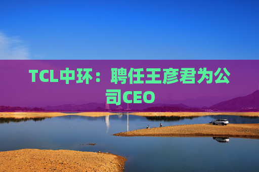 TCL中环：聘任王彦君为公司CEO