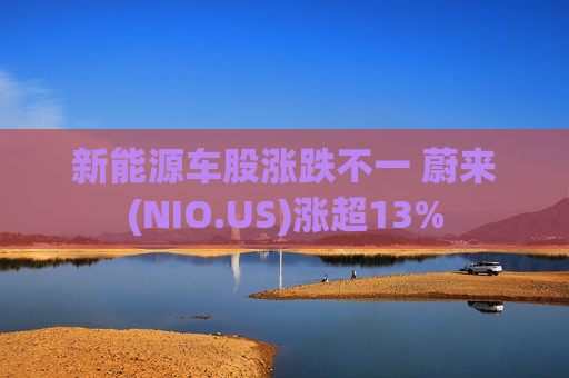 新能源车股涨跌不一 蔚来(NIO.US)涨超13%