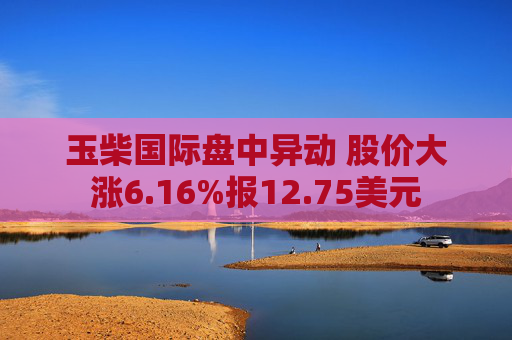 玉柴国际盘中异动 股价大涨6.16%报12.75美元