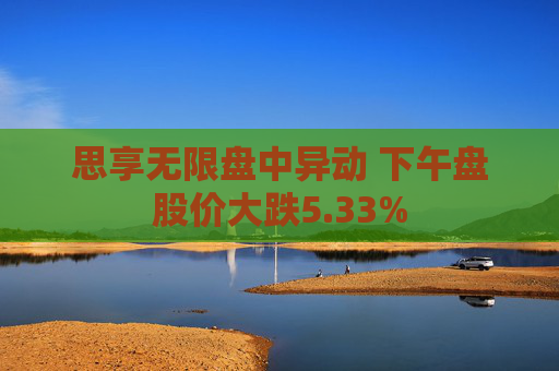 思享无限盘中异动 下午盘股价大跌5.33%