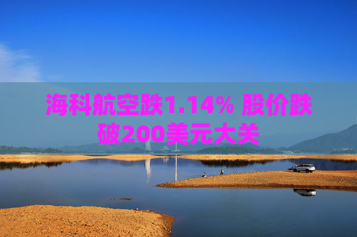 海科航空跌1.14% 股价跌破200美元大关  第1张