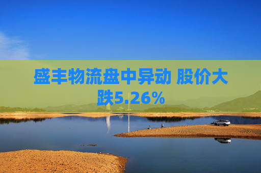 盛丰物流盘中异动 股价大跌5.26%