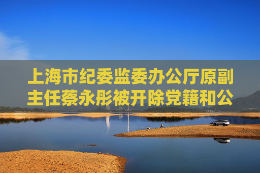 上海市纪委监委办公厅原副主任蔡永彤被开除党籍和公职  第1张