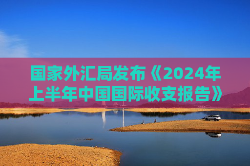 国家外汇局发布《2024年上半年中国国际收支报告》  第1张