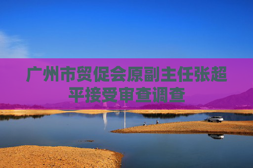 广州市贸促会原副主任张超平接受审查调查