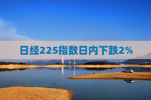 日经225指数日内下跌2%  第1张