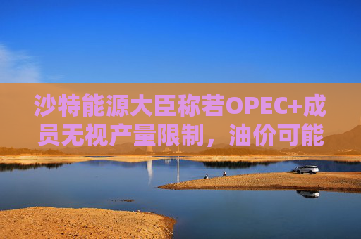 沙特能源大臣称若OPEC+成员无视产量限制，油价可能跌至50美元  第1张