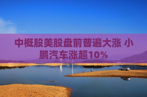 中概股美股盘前普遍大涨 小鹏汽车涨超10%  第1张