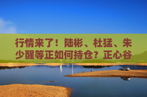 行情来了！陆彬、杜猛、朱少醒等正如何持仓？正心谷、高毅、高瓴等最新持仓曝光  第1张