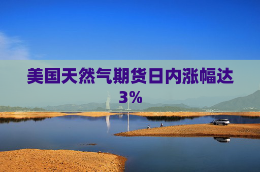 美国天然气期货日内涨幅达3%  第1张