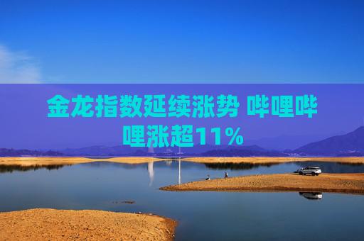 金龙指数延续涨势 哔哩哔哩涨超11%