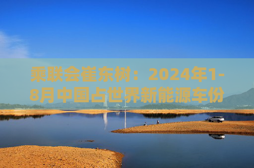 乘联会崔东树：2024年1-8月中国占世界新能源车份额67%  第1张