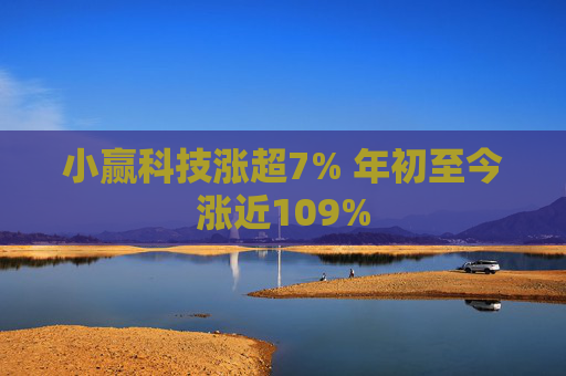 小赢科技涨超7% 年初至今涨近109%  第1张