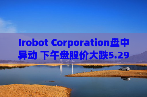 Irobot Corporation盘中异动 下午盘股价大跌5.29%报8.23美元