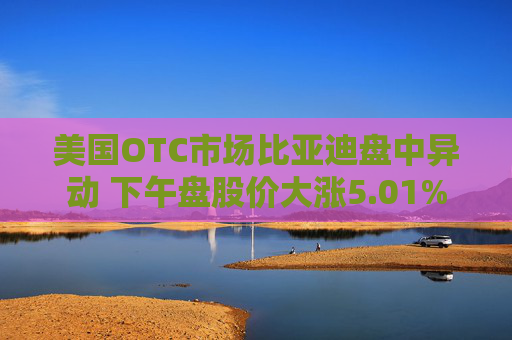 美国OTC市场比亚迪盘中异动 下午盘股价大涨5.01%  第1张