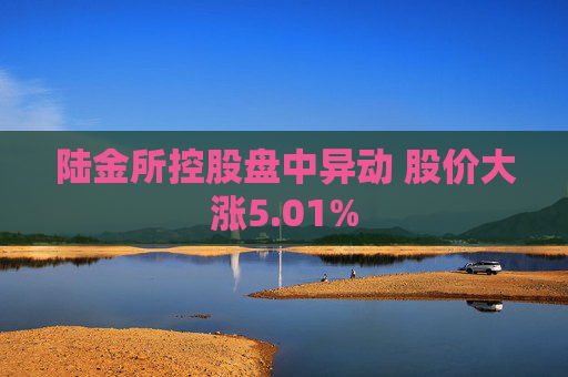 陆金所控股盘中异动 股价大涨5.01%