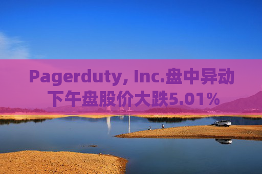 Pagerduty, Inc.盘中异动 下午盘股价大跌5.01%