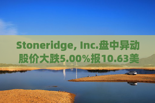 Stoneridge, Inc.盘中异动 股价大跌5.00%报10.63美元