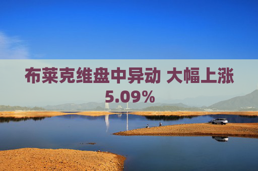 布莱克维盘中异动 大幅上涨5.09%