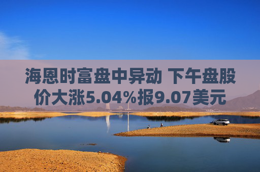 海恩时富盘中异动 下午盘股价大涨5.04%报9.07美元